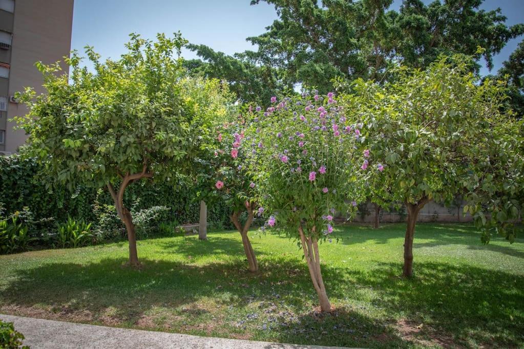 Piso con Jardín Málaga Exterior foto
